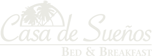 The logo "Casa de Sueños Bed & Breakfast" with a palm tree graphic on a black background.